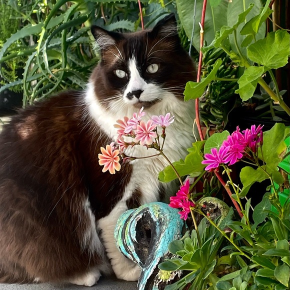 Meet your Posher, Cristina - Picture 16 of 16